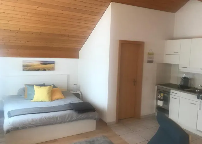 Studio Central Grindelwald شقة