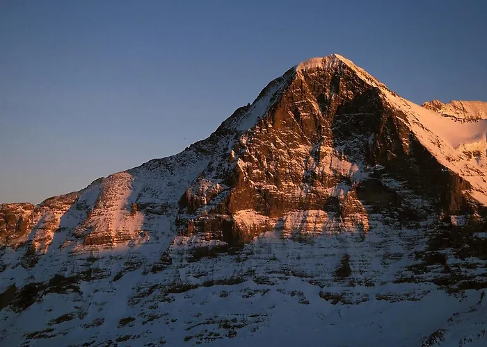 Διαμέρισμα Studio Central Grindelwald